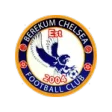 Berekum Chelsea