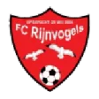 Rijnvogels