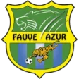 Jeunes Fauves