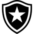 Botafogo U20