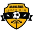 Araucaria U20