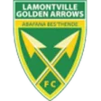 Golden Arrows