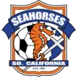 Seahorses