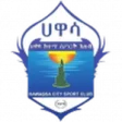 Awassa Kenema