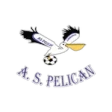 Pélican