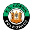 Górnik Polkowice