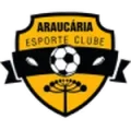Araucaria U20