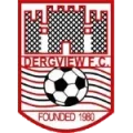 Dergview