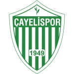 Çayelispor
