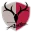 Kashima
