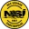 NSÍ II
