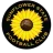 Sunflower State