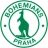 Bohemians 1905