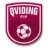 Qviding FIF