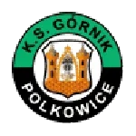 Górnik Polkowice